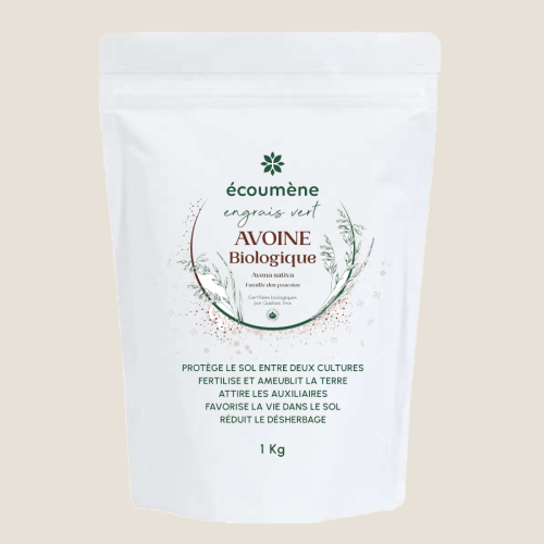 Engrais vert - Semence d'Avoine bio 