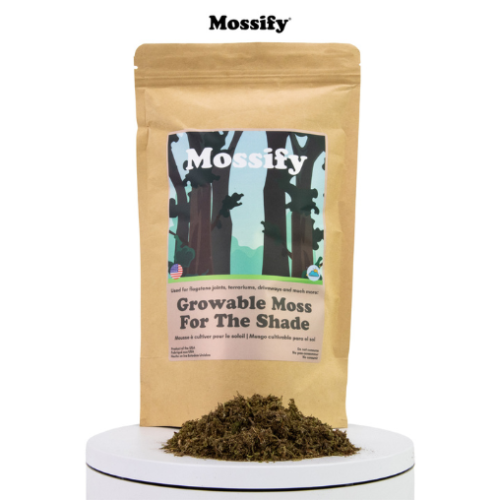 Mousse à cultiver pour milieu ombragé