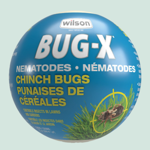 Bug-X OUT - Wilson - Nématodes
