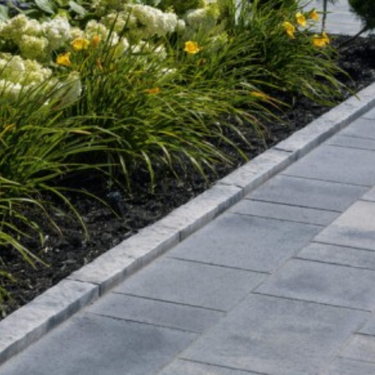 Bordure Lafitt