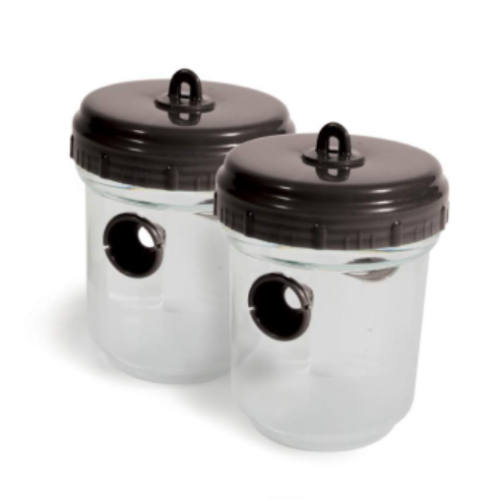 Pièges à guêpe double