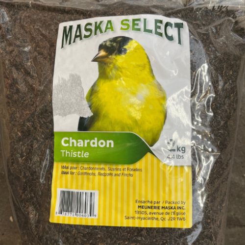 Chardon noir - Thystle - 2kg