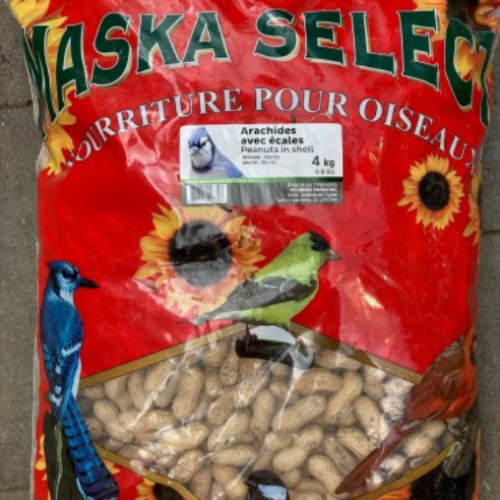 Arachides avec écales - Maska