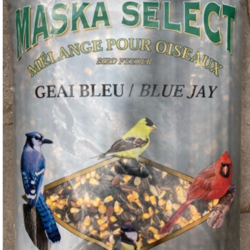 Mélange pour Geai bleu -  Maska