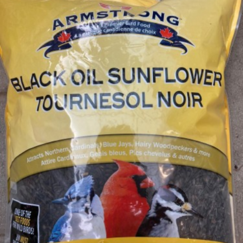 Tournesol noir