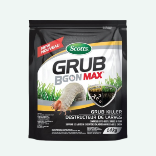Destructeur de vers blanc - Scotts - Grub B Gon Max