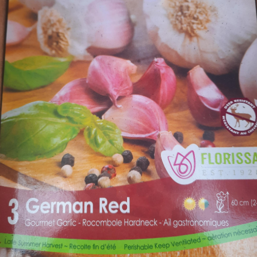 Bulbes d'ail 'German Red'