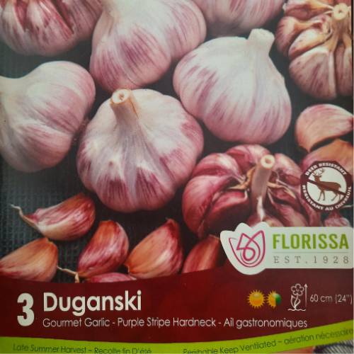 Bulbes d'ail 'Duganski Tops'
