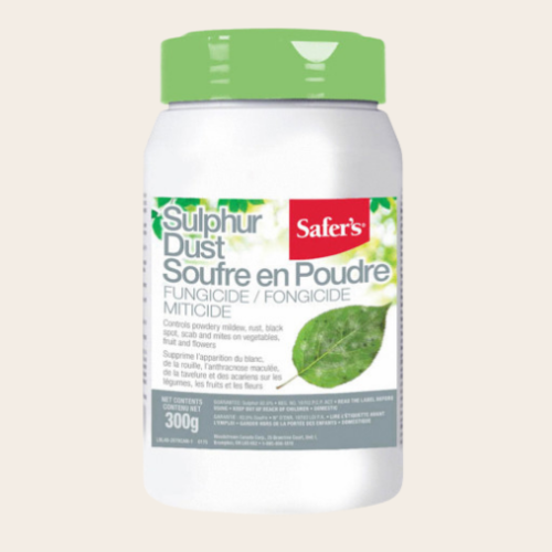 Fongicide en poudre - 300g