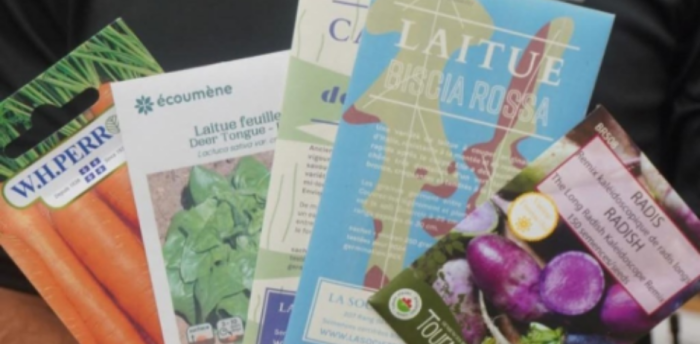 Comment sélectionner ses variétés de semences pour son potager ?