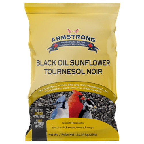 Graines oiseaux Tournesol