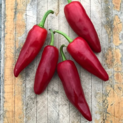 Piments Gorria- BIO - Semences