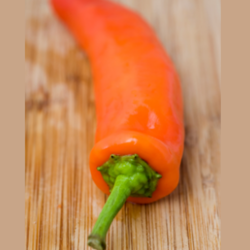 Piment Fort 'Jalapeno Orange Spice' - BIO - Semences