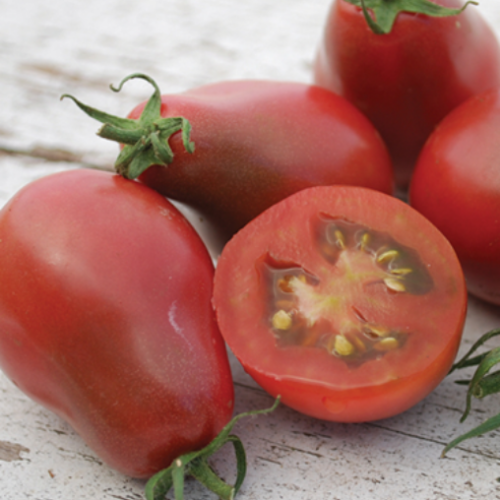 Tomate poire 'Evan's Purple' - BIO - Semences