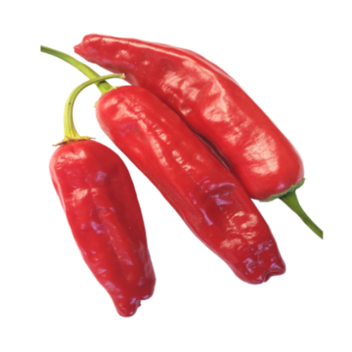 Piment Fort "Italian Pepperoncini" - BIO - Semences
