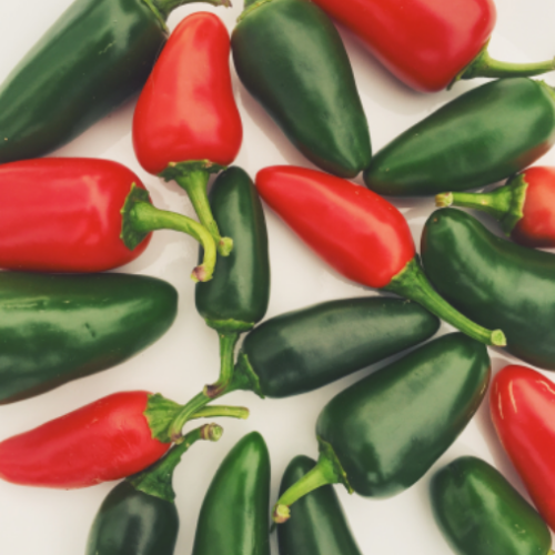 Piment Fort "Jalapeno"- BIO - Semences