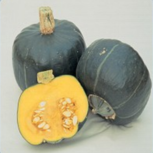 Courge hiver 'Buttercup' BIO -Semences