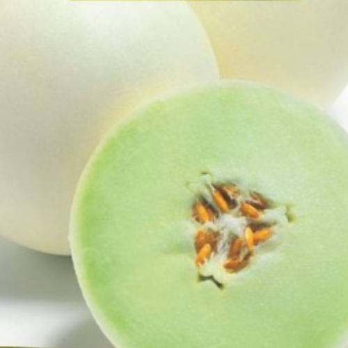 Melon Miel 'Honeycomb' - Semences