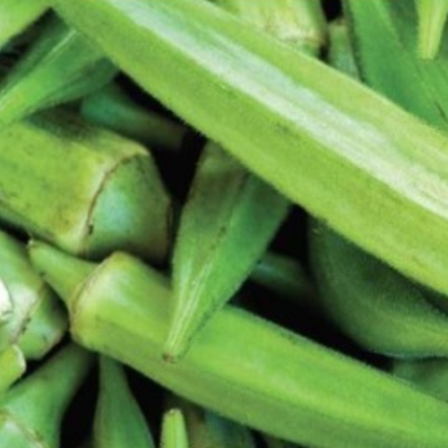 Okra / Gumbo - Semences