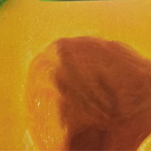 Cantaloup - Semences