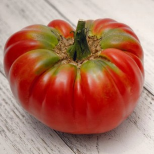 Tomate German Johnson -Semences