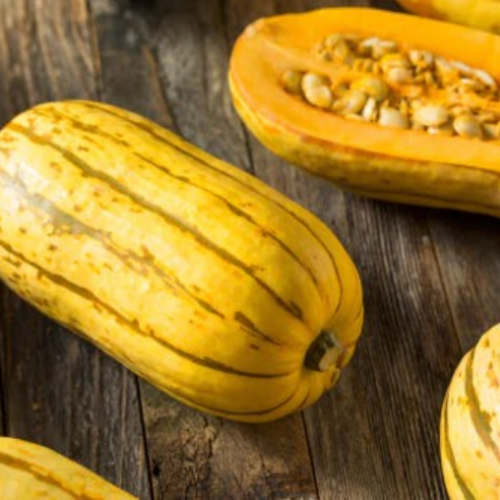 Courge Délicata-Semences
