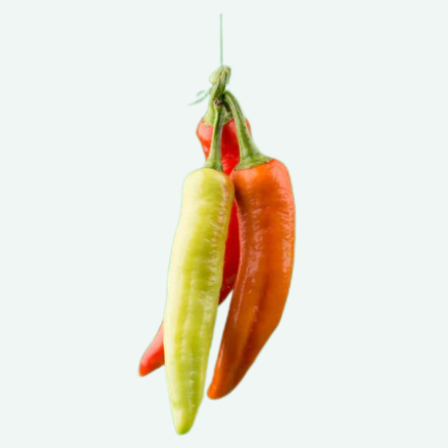 Poivron 'hungarian Hot wax' - Semences