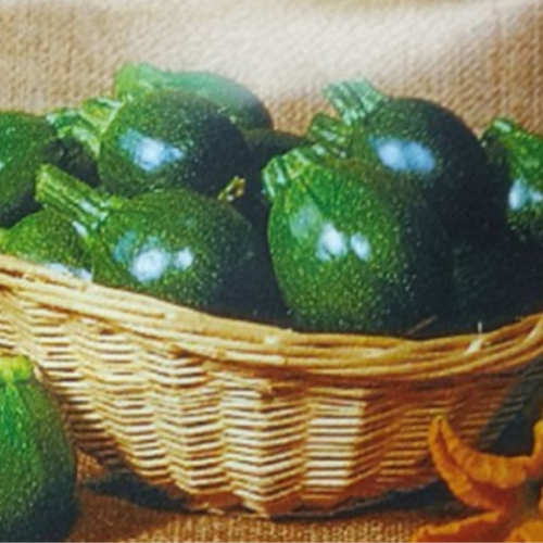 Courge Zucchini ronde - Semences