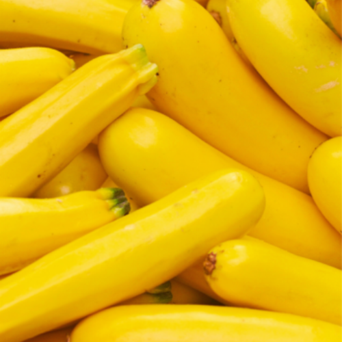 Courge Zucchini Jaune - Semences