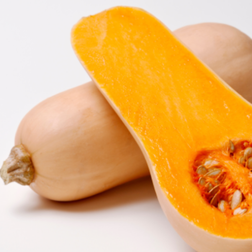 Courge d'hiver 'Butternut' - BIO -  Semences