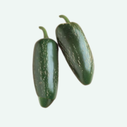 Piment fort 'Jalapeno' - Semences