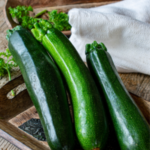 Courge Zucchini verte - BIO - Semences