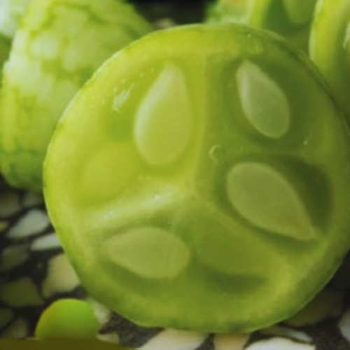 Melon Souris - Cucamelon - BIO - Semences