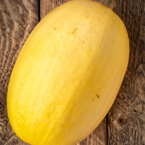 Courge d'été 'Spaghetti' - BIO - Semences