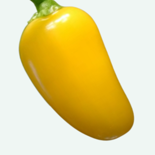 Piment Fort 'Jalapeno Pumpkin Spice'- BIO - Semences