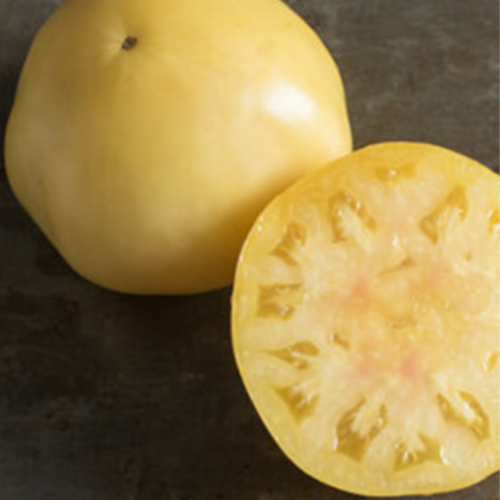 Tomate blanche 'Great White' - BIO - Semences