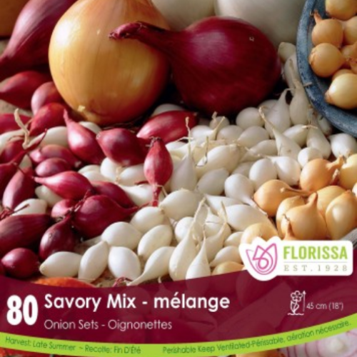 Bulbes oignons Mixte 'Savory'