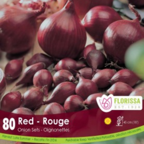 Bulbes oignons rouge 'Karmen'