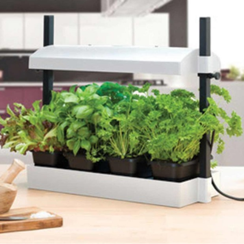 Micro lampe de croissance T5 - SUNBLASTER