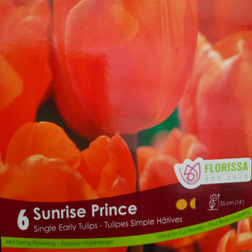 Bulbes de Tulipes 'Sunrise Prince'