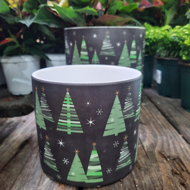 Pot 'sapins noir et vert' - 4"