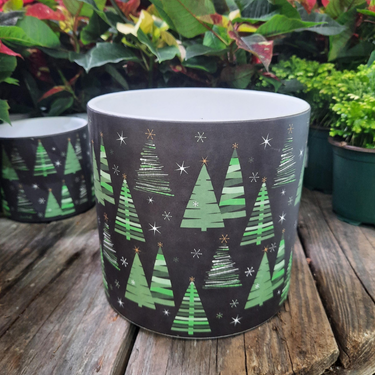 Pot "sapins noir et vert" - 6"