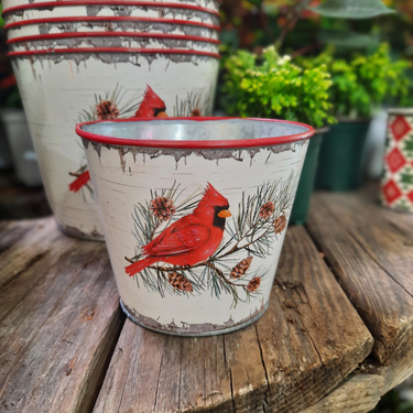 Pot "cardinal" - 4"