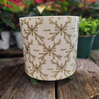 Pot "flocon conifère" - 5,25"