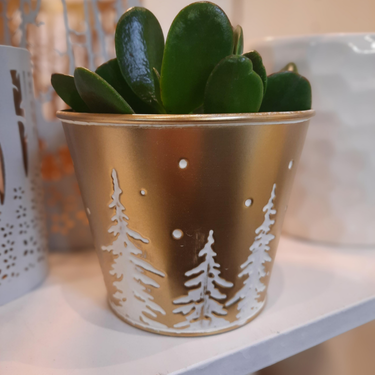 Pot doré "sapin" - 5"