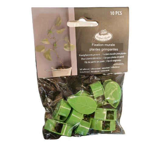Fixation murale pour plantes grimpantes