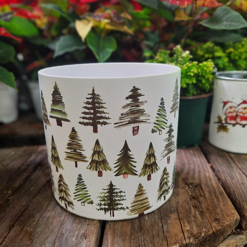Pot "forêt de sapin" -5,5"
