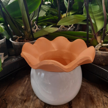 Pot pour violette africaine - 6"