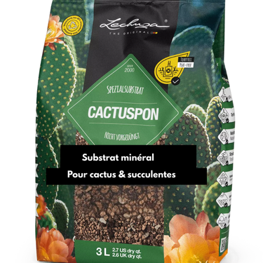 Cactus Pon - Substrat en sac 3L - Faucher - Plantes et Pavs