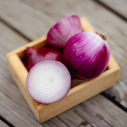 Oignon 'Ring' - Semences BIO